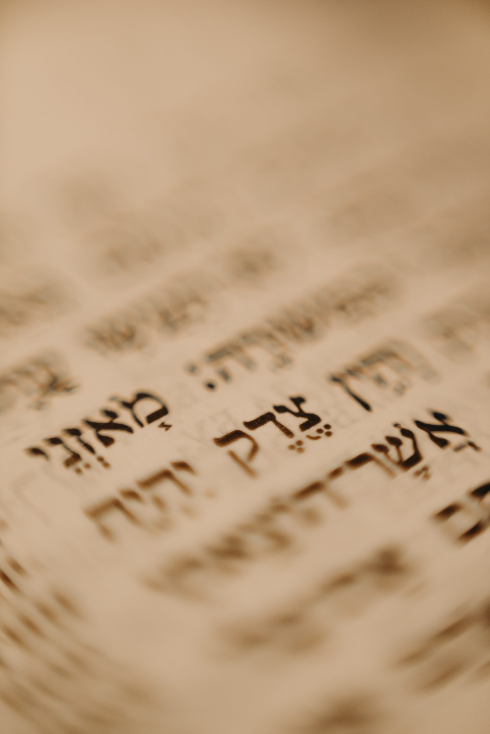 Timely Torah: Insights from the Weekly Torah Portion