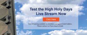 Live Steaming for High Holy Days