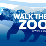 Walk the Zoo in White & Blue